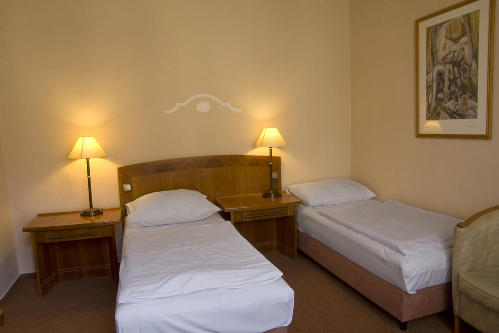 Dr. Adler Spa & Kurhotel Frantiskovy Lazne Room photo
