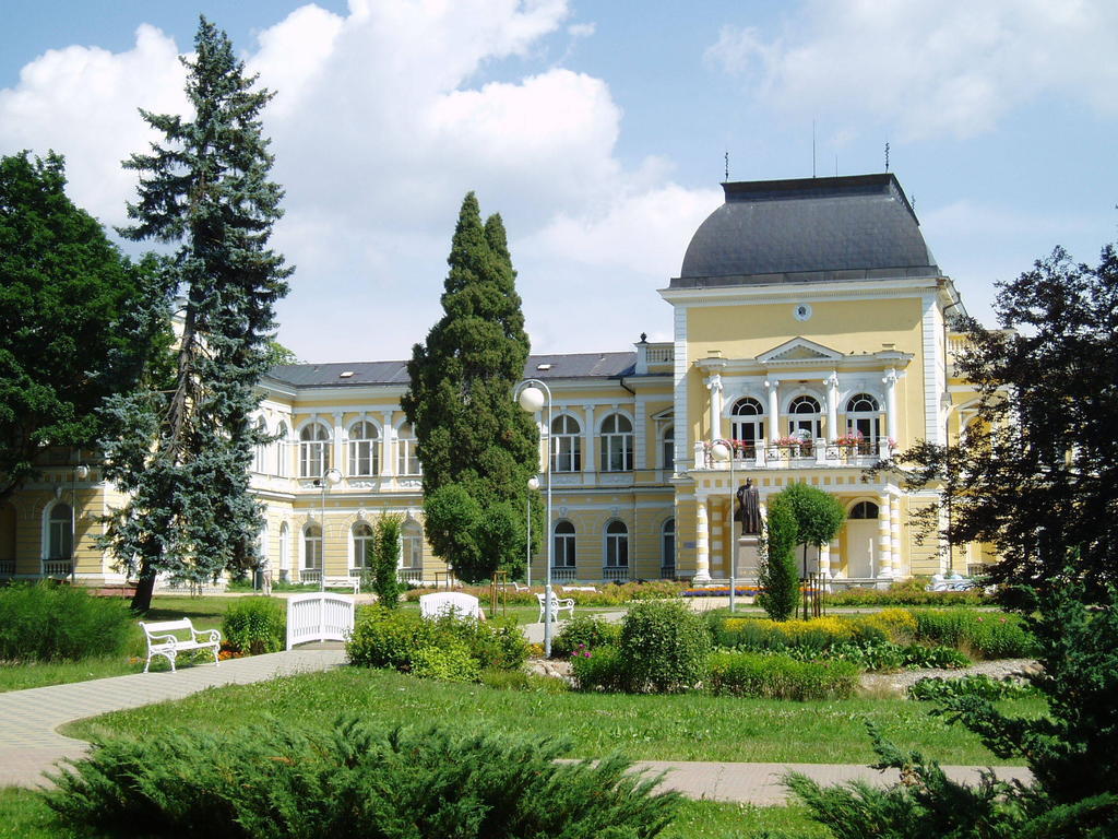 Dr. Adler Spa & Kurhotel Frantiskovy Lazne Exterior photo